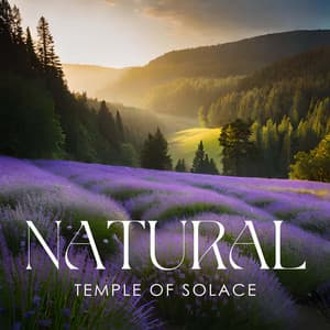 Natural Temple of Solace: Let Your Negative Thoughts Go, Give Yourself Time To Rest And Soothe Yourself - Soothing Music Collection