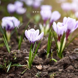 A Spring Aroma Journey: Floral Notes in 432 Hz - Spring Aroma