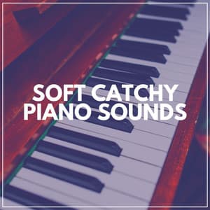 Soft Catchy Piano Sounds - Calm Vibes