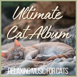 Ultimate Cat Album - Relaxing Music for Cats - RelaxMyCat