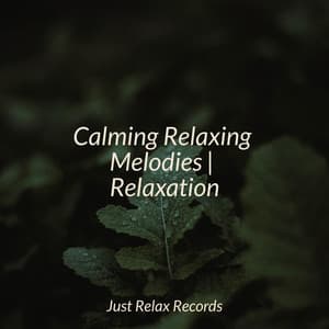 Calming Relaxing Melodies | Relaxation - Anxiety Relief