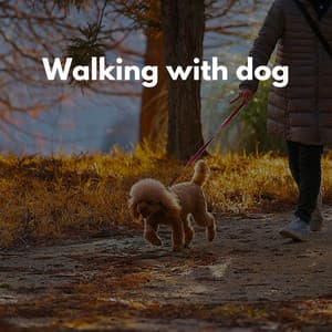 Walking with dog - Sunday Evening Music