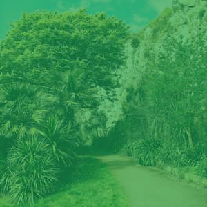 Alluring Trumpet Solo - Ambiance for Devoted Inspiration - Jazzy VIbes for Study Time