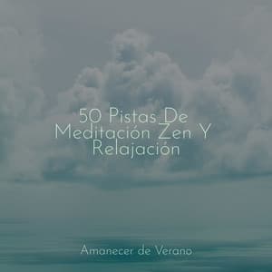 50 Pistas De Meditación Zen Y Relajación - New Age
