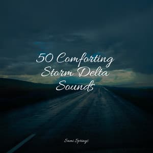 50 Comforting Storm Delta Sounds - Nature's Symphony