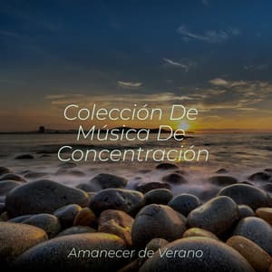 Colección De Música De Concentración - Musica para Dormir 101