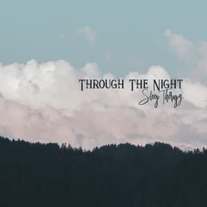 Through The Night - Sleep Therapy: Calming Sounds Of New Age, Time To Bed, Deep Relaxation At Night, Sweet Dreams - Endless New Age Music Creator