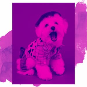 Tranquil Background Music for Mans Best Friend - Relaxing Dog Music Seduction