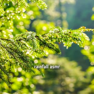 rainfall asmr - Ambient Rain