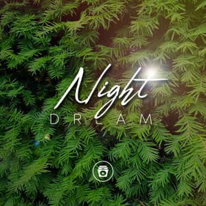 Night Dream - Rain Sounds Sleep