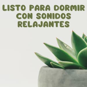 Listo Para Dormir Con Sonidos Relajantes - Música suave de piano
