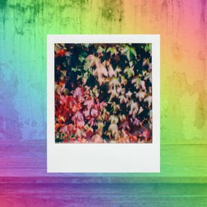 Grand Trumpet Bossa - Ambiance for Cool Autumn - Cafe Jazz Relax