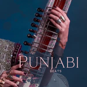 Punjabi Beats - Sitar, Flute, Tabla Instrumental Relaxing Music - Hindi Vibe