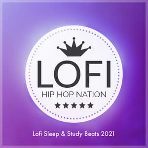 Lofi Sleep & Study Beats 2021 - LO-FI BEATS