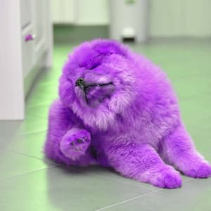 Echoes of Jazzy Dogs - Calming Dog Jazz Classics