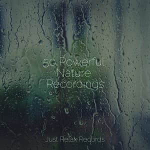 50 Powerful Nature Recordings - Meditar Profundamente