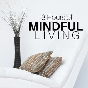 3 Hours of Mindful Living - Meditation Music Ensemble - Deep Zen Ambient