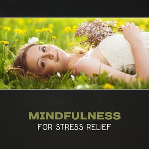 Mindfulness for Stress Relief – Serenity & Peace, Amazing New Age Music, Stress & Anxiety Reduction, Insomnia & Depression Cure, Healing Meditation & Yoga - Restorative Music Universe