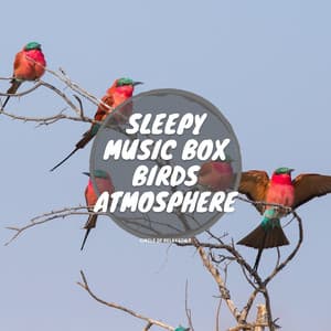 Sleepy Music Box Birds Atmosphere - Circle of Relaxation