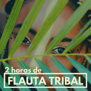2 Horas de Flauta Tribal - Música Instrumental - Alba Linda Santos