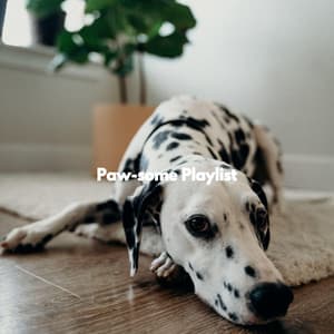 Paw-some Playlist - Suave Música para Dormir