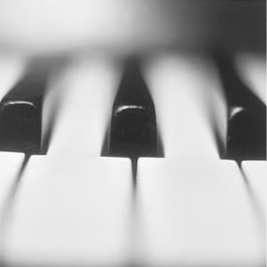 Piano Solo - Gerhard Bickl