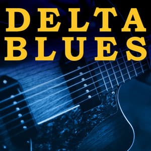 Delta Blues - Paul Lenart