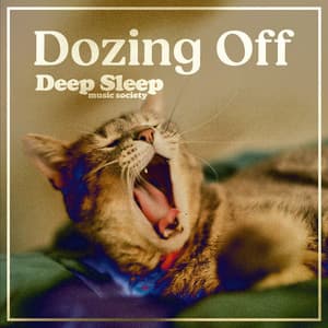 Dozing Off - Deep Sleep Music Society