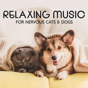 Relaxing Music for Nervous Cats & Dogs: Soothing Instrumental for Hyperactive Pets, Quick Therapy for Stress and Anxiety Relief - Pets Music