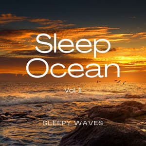 1 Sleep Ocean Vol. 1 - Sea of Calmness