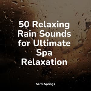 50 Amazing Meditation Rain Sounds - Musica Para Dormir y Sonidos de la Naturaleza