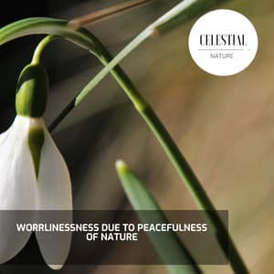 Worrlinessness Due to Peacefulness of Nature - Nature Radiance