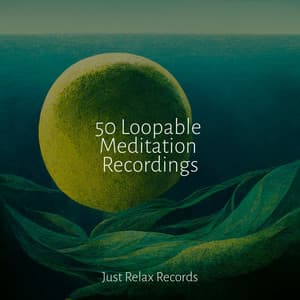 50 Loopable Meditation Recordings - Japanese Relaxation and Meditation