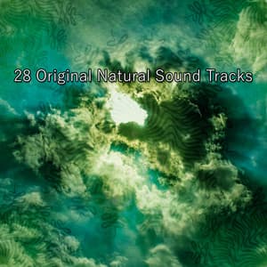 28 Original Natural Sound Tracks - Ambient Forest