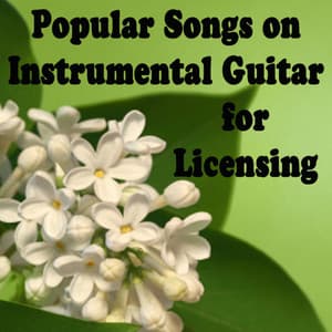 Popular Songs on Instrumental Guitar for Licensing - Steve Petrunak