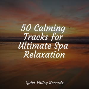 50 Calming Tracks for Ultimate Spa Relaxation - Meditação Maestro