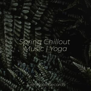 Spring Chillout Music | Yoga - Brain Study Music Guys