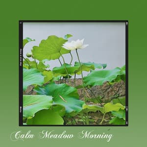 Calm Meadow Morning - Relaxing Piano Music
