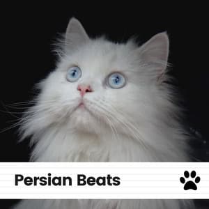 Persian Beats - Cats Music Zone