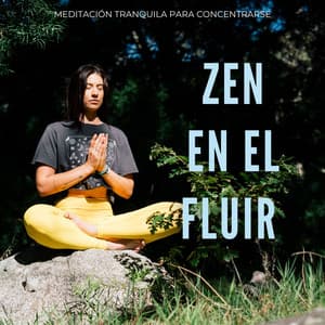 Zen En El Fluir: Meditación Tranquila Para Concentrarse - Naturaleza Caldwell