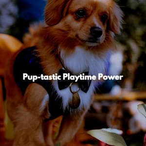 Pup-tastic Playtime Power - Evening Jazz Relaxation