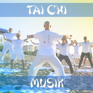 Tai chi musik: Qigong övningar, Livsenergi, Yoga utbildning, Betraktelser och koncentration - Zen Musik Akademi