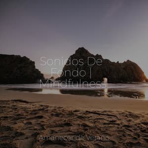 Sonidos De Fondo | Mindfulness - Canciones Infantiles de Niños