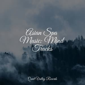 Asian Spa Music: Mind Tracks - Rainy Sounds