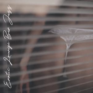 Erotic Lounge Bar Jazz - Jazz Erotic Lounge Collective