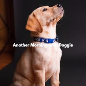 Another Morning with Doggie - Home Alone Dog Music
