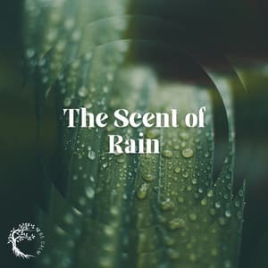 The Scent of Rain - Makira