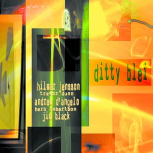 Ditty Blei - Hilmar Jensson