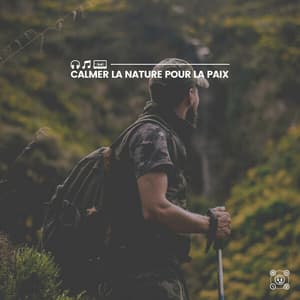 Calmer La Nature pour La Paix - Nature Sounds - Sons de la nature