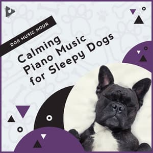Calming Piano Music for Sleepy Dogs - Dog Music Hour